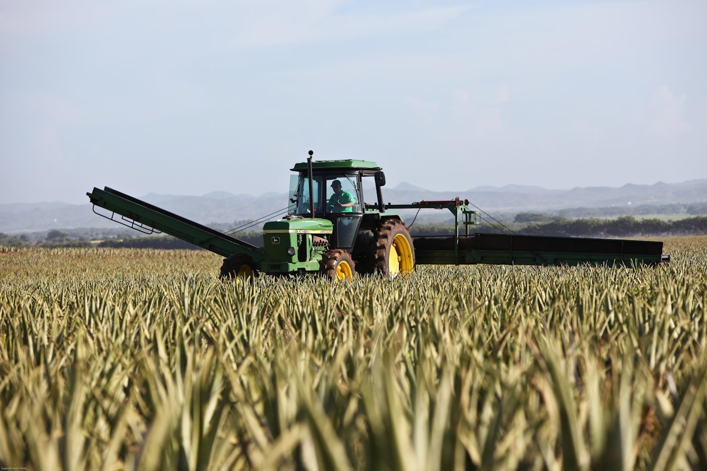 Tractor working a paddock on a farm